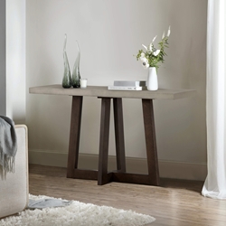 Elodie Gray Concrete and Dark Gray Oak Rectangle Console Table