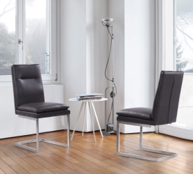 Fenton Contemporary Dining Chair in Brushed Stainless Steel Finish with Gray Faux Leather - Set of 2