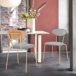 Neo Modern Gray Velvet and Gold Metal Leg Dining Room Chairs - Set of 2