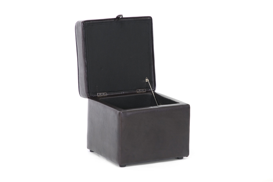 Baxton Studio Sydney Brown Modern Ottoman - Storage Ottoman