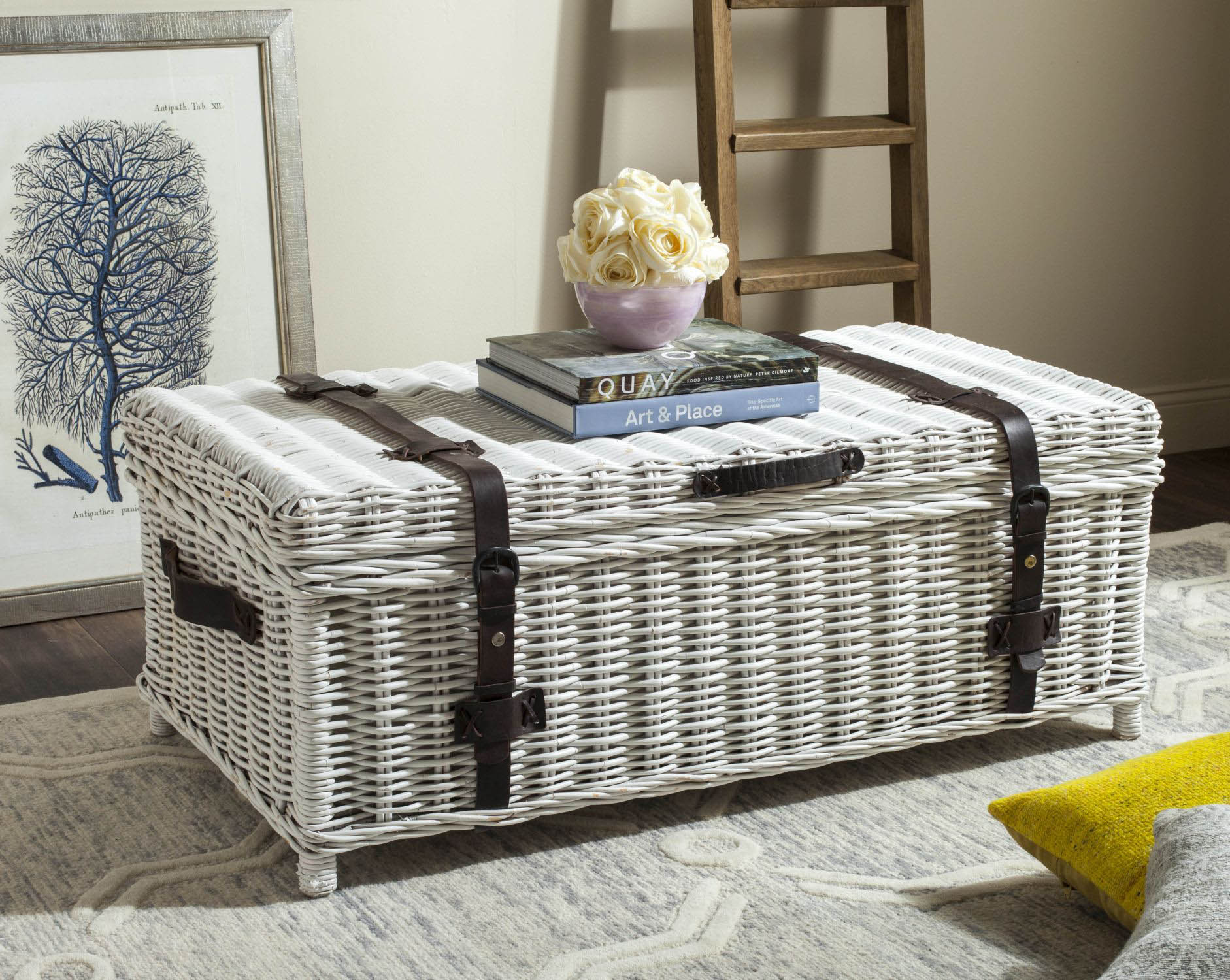 Oren Rattan Coffee Table Trunk