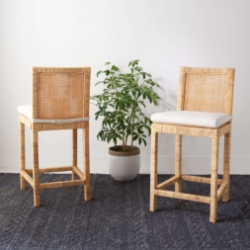 Jason Cane Counter Stool with Cushion
