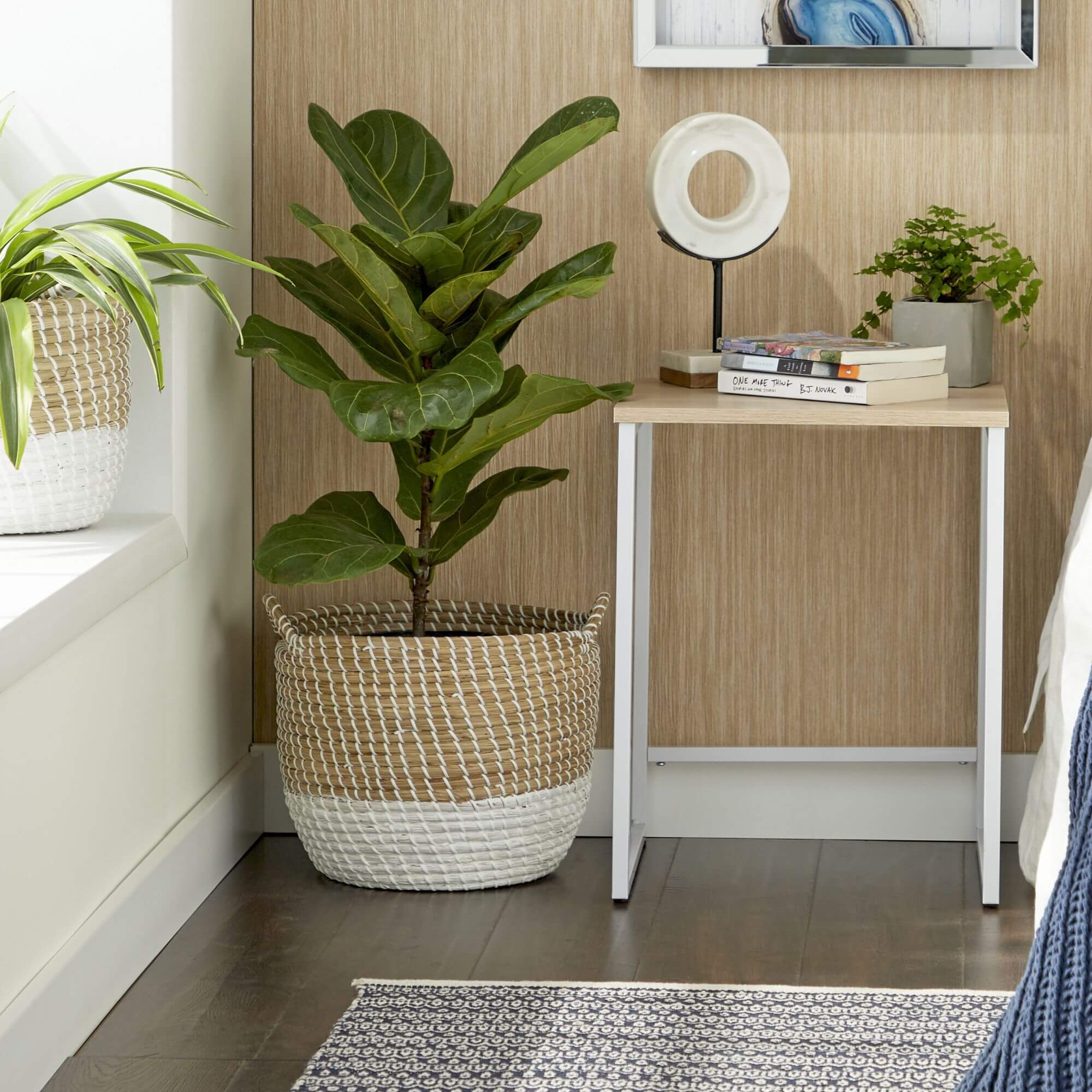 Dried Plant Material Contemporary Color Block Storage Basket