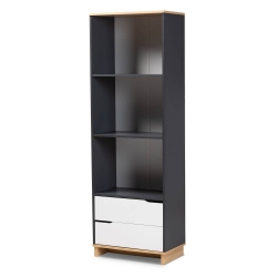 Baxton Studio Reed Mid-Century Modern Multicolor 2-Drawer Wood Living Room Bookshelf